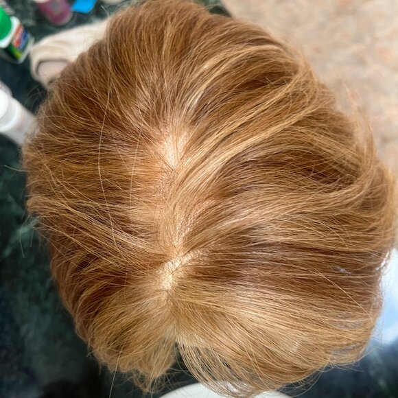 Raquel Welch Human Hair Wig - Custom Colored! - Picture 4 of 7